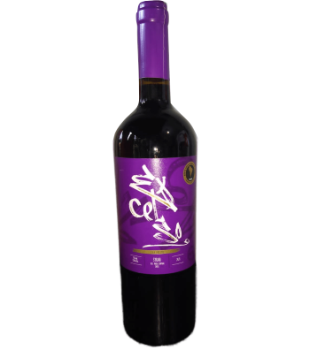 V CHI EXCELSO SUPERIOR SYRAH